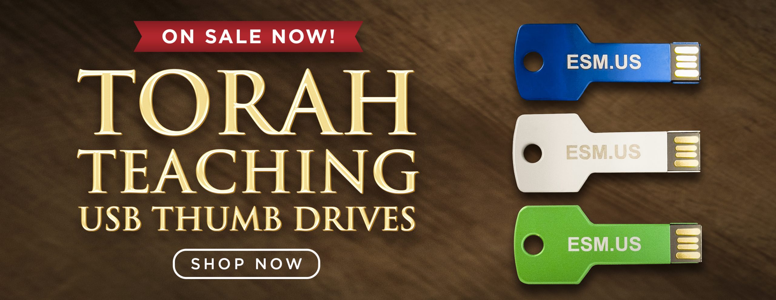 Torah Teachings USB AD Banner