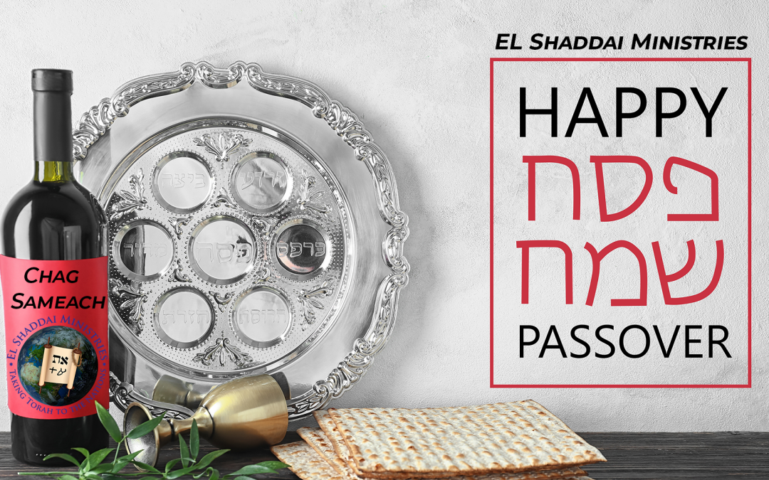 Passover Seder 5784