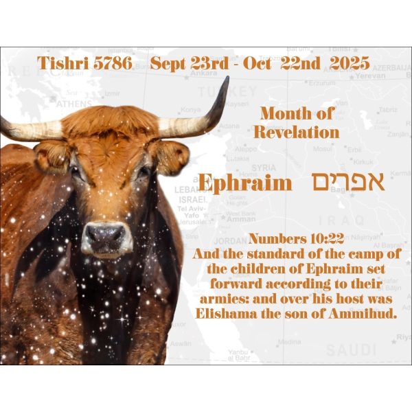 GENESIS English-Hebrew Phonetic Printed Book and Calendar - Jim Bakker Special - Image 8