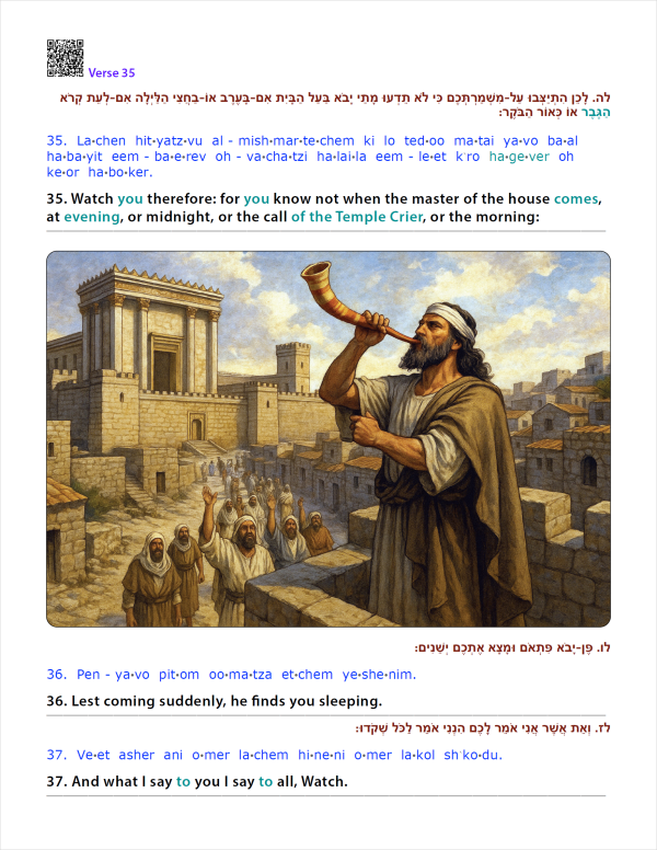 Part One - The Gospels - Book With USB - Image 4