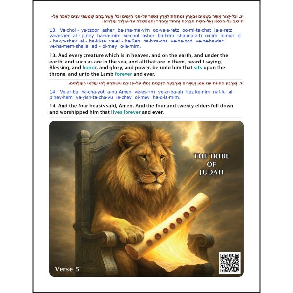 Part Two - Acts to Revelation - Printed Book - Pre-Order - Image 2